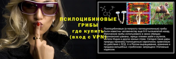 ешки Абаза