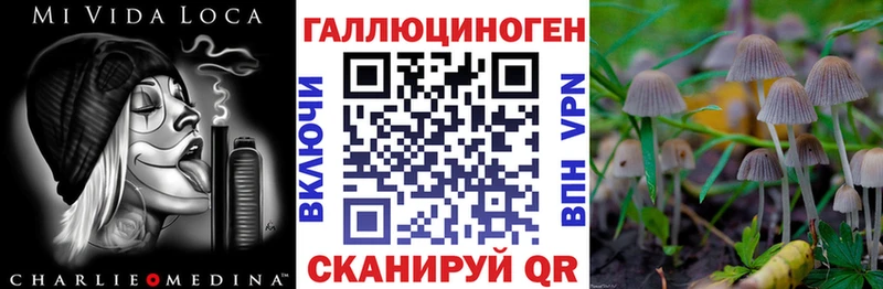 Псилоцибиновые грибы Psilocybine cubensis Рославль